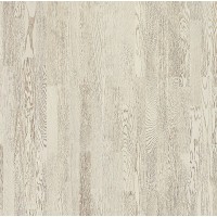 Salsa Art WHITE GOLD BR PL