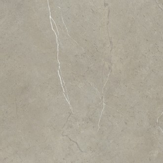 Salvador Beige 42х42