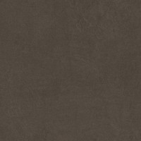 Sandstone Brown PRO коричневый матовый R10GR 60х60