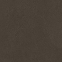 Sandstone Brown PRO коричневый матовый R10GR STR 80х80