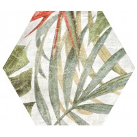 Saona Aruba Blanco 23x27