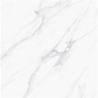 Satuario Platina Polished 60x60