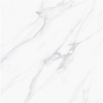 Satuario Platina Polished 60x60