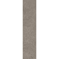 Scs Spectra Moshroom 5,8х25