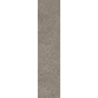 Scs Spectra Moshroom 5,8х25