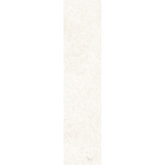 Scs Spectra Salt 5,8х25