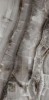 Sevilla Graphite Polished Rec. 60x120