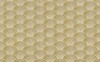 Shell Scallop 25x40