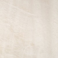 Shellstone 3 59.8x59.8