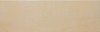Shine Beige 20x60