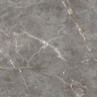 Shinestone grey POL 119.8x119.8