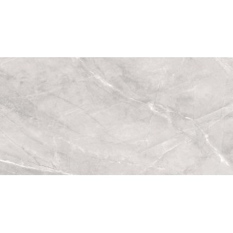 Silk Armani Silver Matt 60x120