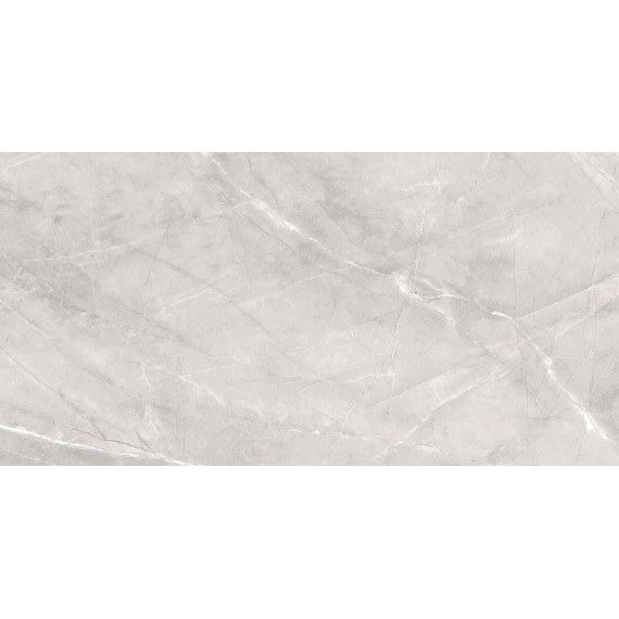 Керамогранит Silk Armani Silver Matt 60x120