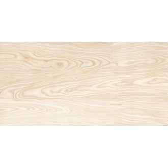 Silken Wood Matt 60x120
