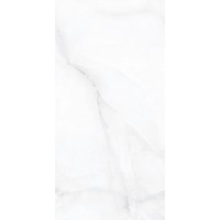 Silver Onyx 600x1200х8,8