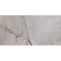 Silver Root Полированный 60х120