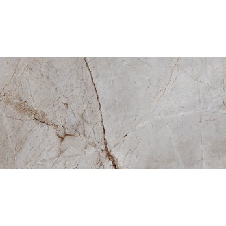 Silver Root Полированный 60х120