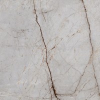 Silver Root Полированный 60х60
