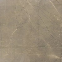 Sitron Grey Glossy 60х60