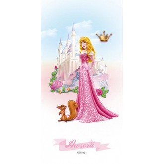 Sleeping Beauty 30*60