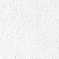 Snow White Full Body Punch 60х60