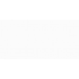 Snow White Polished 60x120