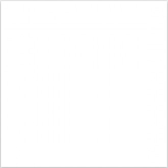 Snow White Polished 60x60