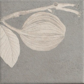 Soft Kamelia Grey 15x15