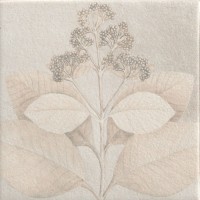 Soft Kamelia White 15x15