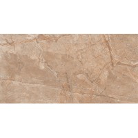 Solido Marrone Carving 60x120