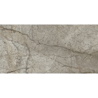 Sonante Tortora Polished Rect 60x120