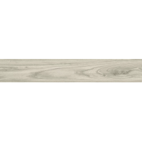 Spazio Ice Pulido R 20x120