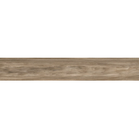 Spazio Teak Pulido R 20x120