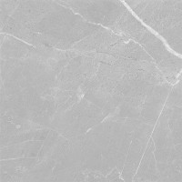 Spiderweb Silver Glossy 60x60