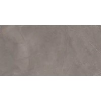 Splash Grey серый 60х120
