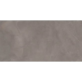 Splash Grey серый 60х120
