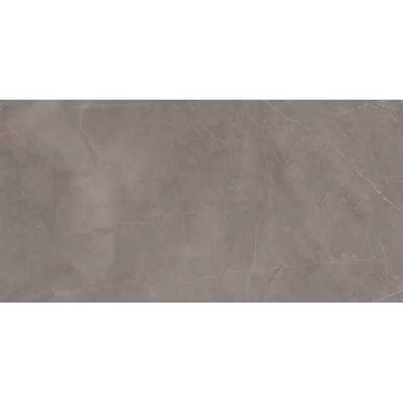 Керамогранит Splash Grey серый 60х120