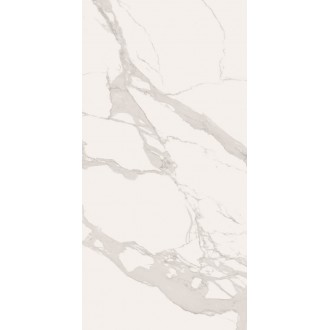 Statu Matt Rectified 60х120