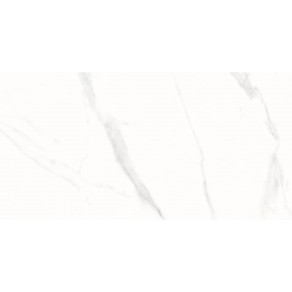 Керамогранит Statuario Alaska 60x120