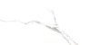 Statuario Full Lappato 60x120