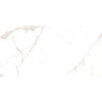 Statuario Gold 30x60