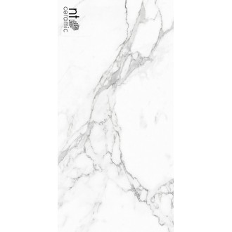 Statuario Infinity 120x60