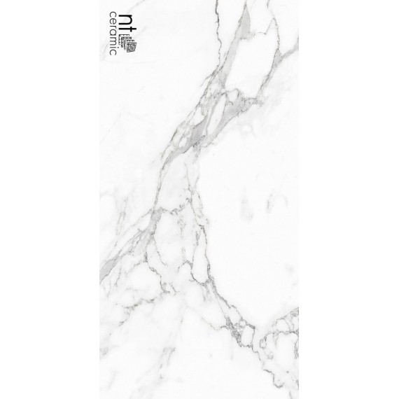 Керамогранит Statuario Infinity 120x60