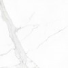 Statuario Mate Rect 60x60