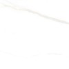 Statuario Neptune Polished 60x60