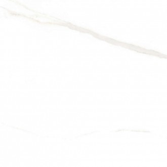 Statuario Neptune Polished 60x60