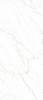 Statuario Oro White Polish 120х278
