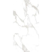 Statuario Perfect Silver Белый Полированный 60х120
