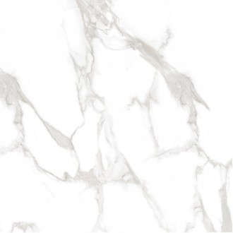 Statuario Perfect Silver Белый Полированный 80х80
