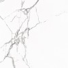 Statuario Venato Polished 60x60